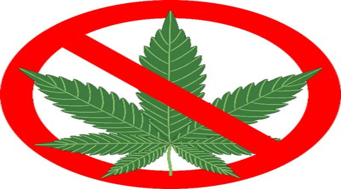 Dagga brand not promoting marijuana