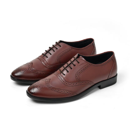 Dagga Men's Black / Brown Oxford Brogue Casual Cum Formal Leather Shoes