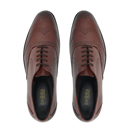 Dagga Men's Black / Brown Oxford Brogue Casual Cum Formal Leather Shoes