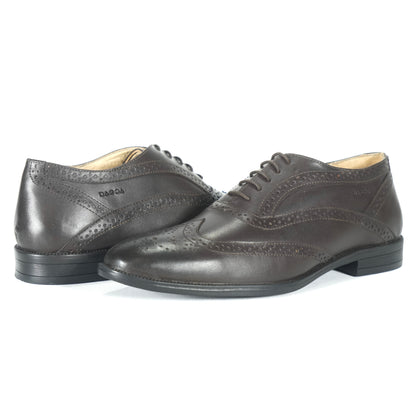Dagga Men's Black / Brown Oxford Brogue Casual Cum Formal Leather Shoes